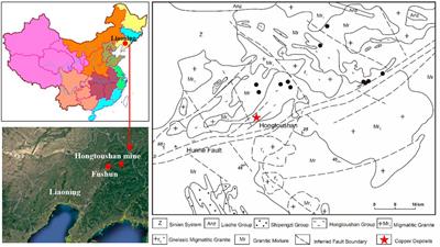 Study on the evolution and prediction of fracture depth of surrounding rock in deep mining roadway based on numerical analysis and borehole detection